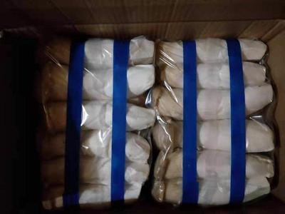 河南洛阳瀍河区杏鲍菇市场行情与批发采购指南